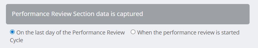 Performance Review Section data is captured.jpg